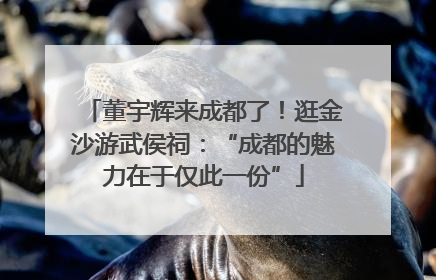 董宇辉来成都了！逛金沙游武侯祠：“成都的魅力在于仅此一份”