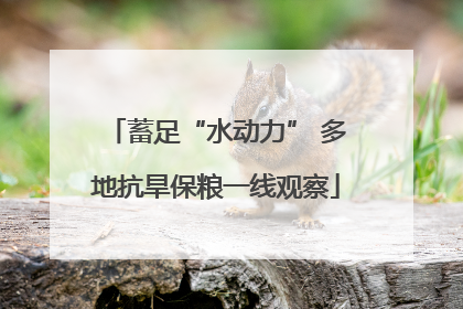 蓄足“水动力” 多地抗旱保粮一线观察