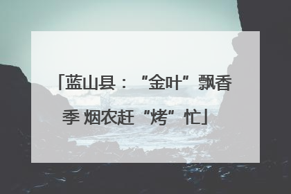 蓝山县：“金叶”飘香季 烟农赶“烤”忙