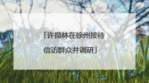 许昆林在徐州接待信访群众并调研