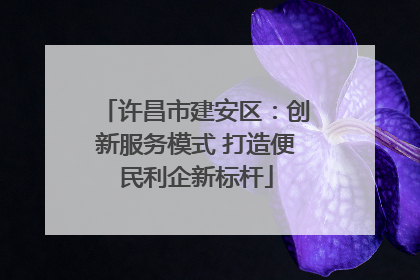 许昌市建安区：创新服务模式 打造便民利企新标杆