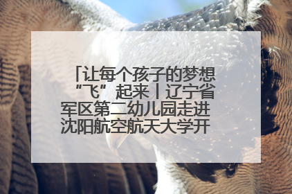 让每个孩子的梦想“飞”起来丨辽宁省军区第二幼儿园走进沈阳航空航天大学开展爱国主义教育