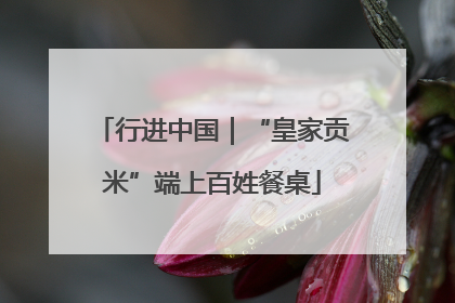 行进中国｜“皇家贡米”端上百姓餐桌