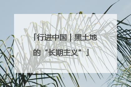 行进中国｜黑土地的“长期主义”