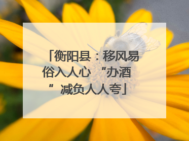 衡阳县：移风易俗入人心 “办酒”减负人人夸