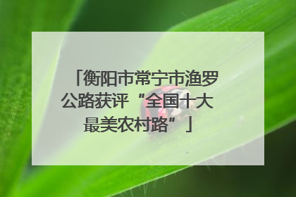 衡阳市常宁市渔罗公路获评“全国十大最美农村路”