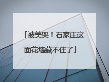 被美哭！石家庄这面花墙藏不住了