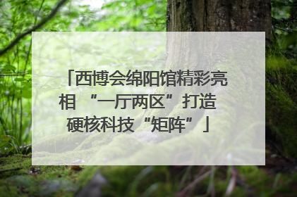 西博会绵阳馆精彩亮相 “一厅两区”打造硬核科技“矩阵”