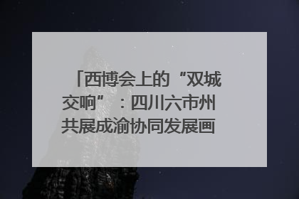 西博会上的“双城交响”：四川六市州共展成渝协同发展画卷｜西博视界