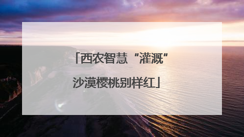 西农智慧“灌溉” 沙漠樱桃别样红