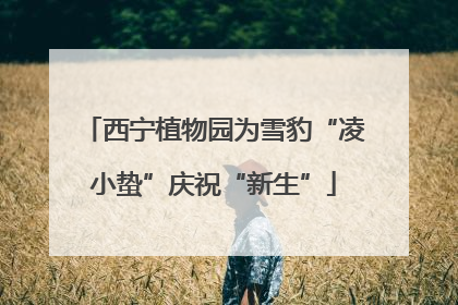 西宁植物园为雪豹“凌小蛰”庆祝“新生”