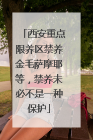 西安重点限养区禁养金毛萨摩耶等，禁养未必不是一种保护