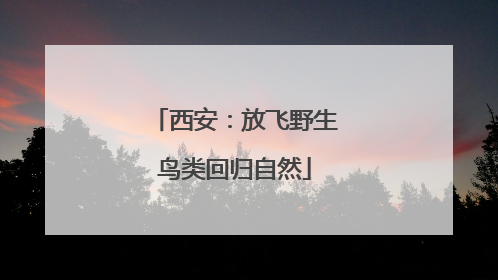 西安：放飞野生鸟类回归自然