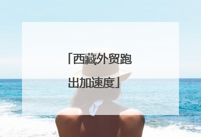 西藏外贸跑出加速度