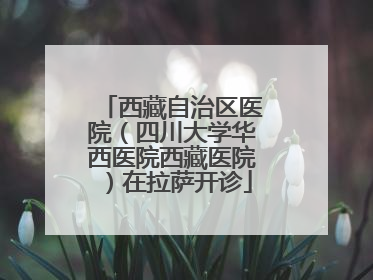 西藏自治区医院（四川大学华西医院西藏医院）在拉萨开诊