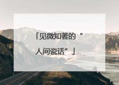 见微知著的“人间瓷话”