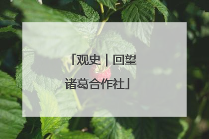 观史｜回望诸葛合作社