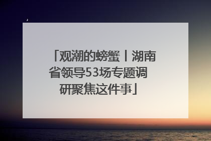 观潮的螃蟹丨湖南省领导53场专题调研聚焦这件事