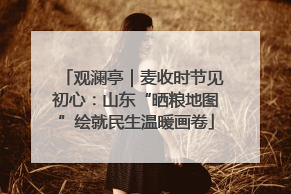 观澜亭｜麦收时节见初心：山东“晒粮地图”绘就民生温暖画卷