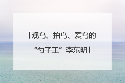 观鸟、拍鸟、爱鸟的“勺子王”李东明