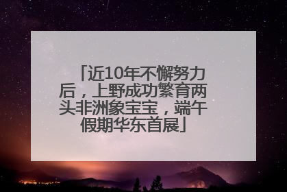 近10年不懈努力后，上野成功繁育两头非洲象宝宝，端午假期华东首展