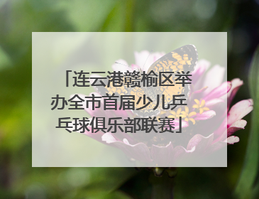 连云港赣榆区举办全市首届少儿乒乓球俱乐部联赛