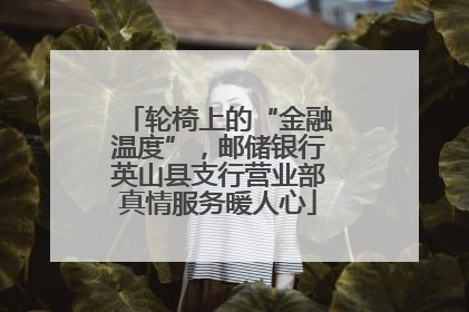 轮椅上的“金融温度”，邮储银行英山县支行营业部真情服务暖人心