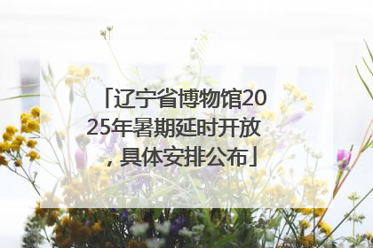 辽宁省博物馆2025年暑期延时开放，具体安排公布