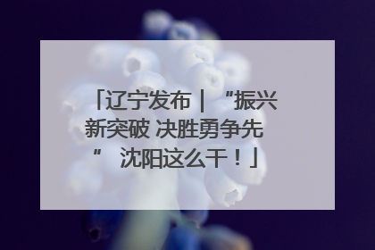 辽宁发布｜“振兴新突破 决胜勇争先” 沈阳这么干！