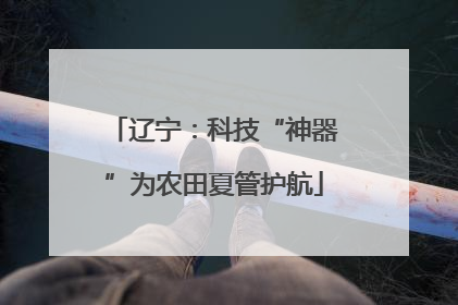 辽宁：科技“神器”为农田夏管护航