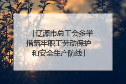辽源市总工会多举措筑牢职工劳动保护和安全生产防线