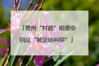 贵州“村超”组委会回应“被足协叫停”