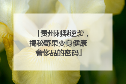 贵州刺梨逆袭，揭秘野果变身健康奢侈品的密码