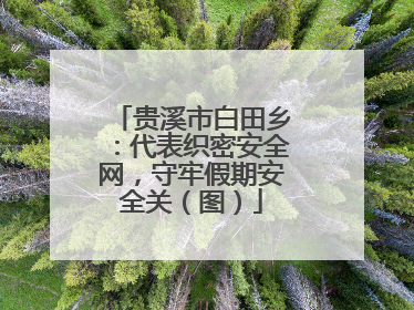 贵溪市白田乡：代表织密安全网，守牢假期安全关（图）