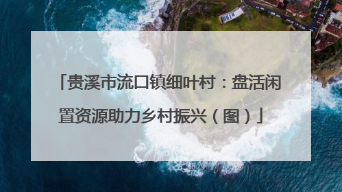 贵溪市流口镇细叶村：盘活闲置资源助力乡村振兴（图）