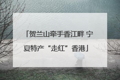贺兰山牵手香江畔 宁夏特产“走红”香港