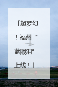 超梦幻！福州“蓝眼泪”上线！