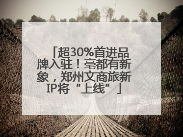 超30%首进品牌入驻！亳都有新象，郑州文商旅新IP将“上线”