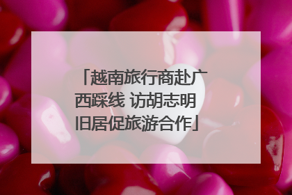 越南旅行商赴广西踩线 访胡志明旧居促旅游合作
