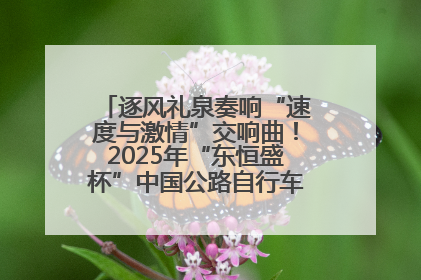 逐风礼泉奏响“速度与激情”交响曲！2025年“东恒盛杯”中国公路自行车联赛第五站（陕西·礼泉站）正式开赛