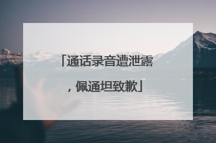 通话录音遭泄露，佩通坦致歉