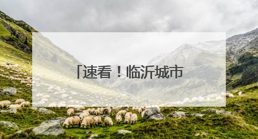速看！临沂城市职业学院2025年高职（专科）招生简章发布