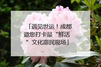 遇见世运！成都邀您打卡最“鲜活”文化惠民现场