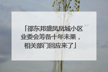 邵东邦盛凤凰城小区业委会筹备十年未果，相关部门回应来了