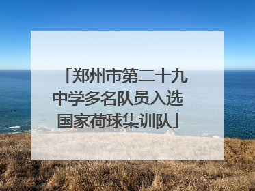 郑州市第二十九中学多名队员入选国家荷球集训队