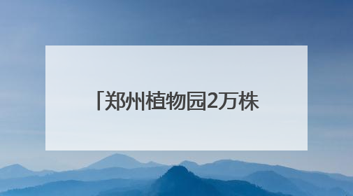 郑州植物园2万株向日葵热烈绽放