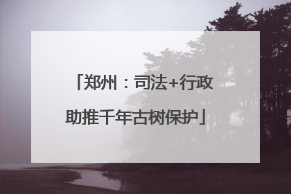 郑州：司法+行政助推千年古树保护