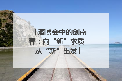 酒博会中的剑南春：向“新”求质 从“新”出发
