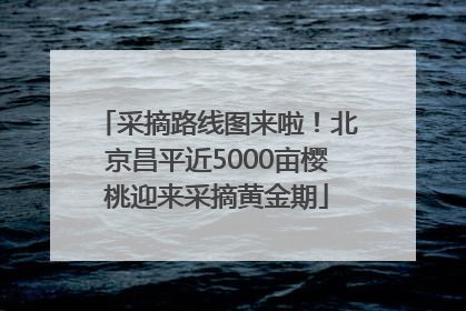 采摘路线图来啦！北京昌平近5000亩樱桃迎来采摘黄金期