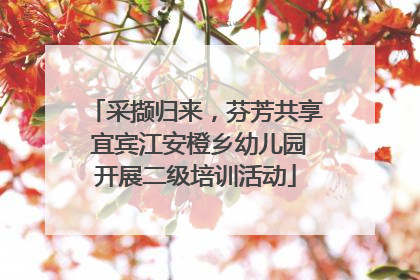 采撷归来，芬芳共享 宜宾江安橙乡幼儿园开展二级培训活动
